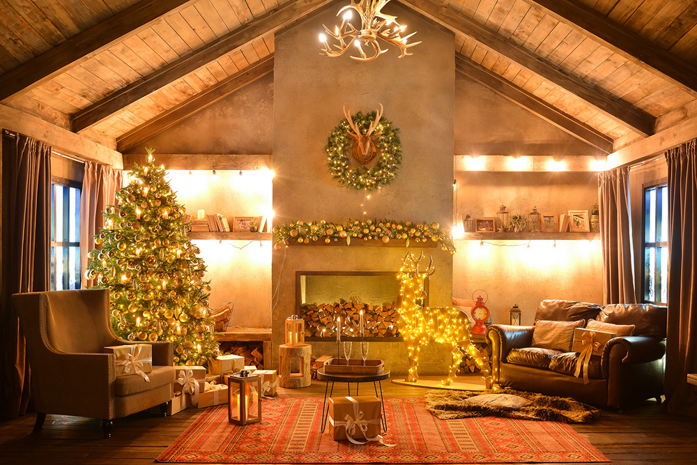 Семейная новогодняя фотосессия