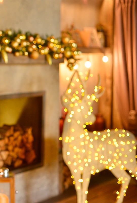 Горизонтальное фото для новогодней открытки