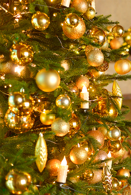 Фотосессия в подарок на Новый год